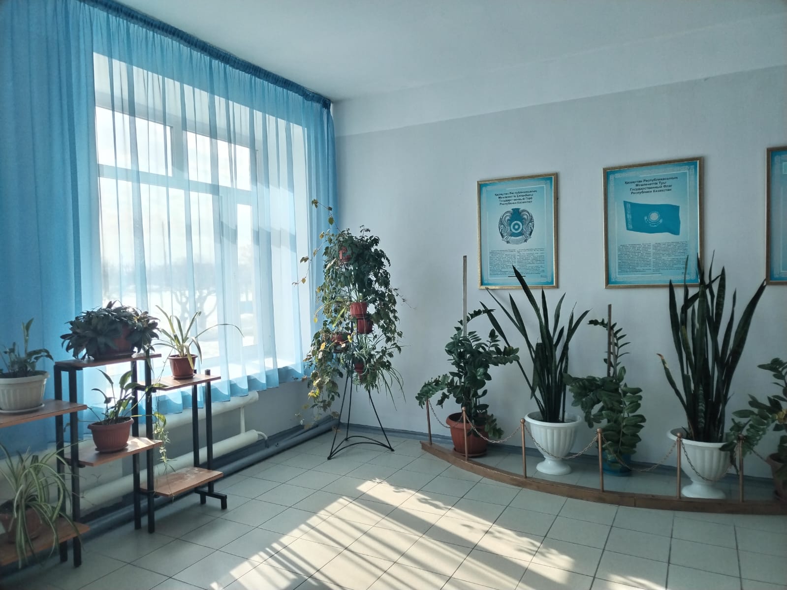 Product-img