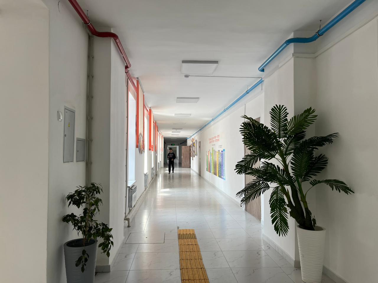 Product-img