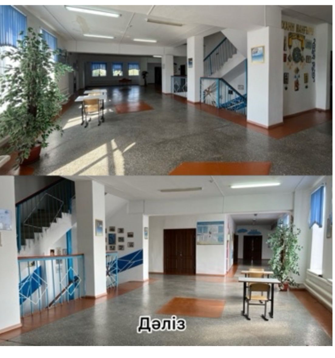 Product-img