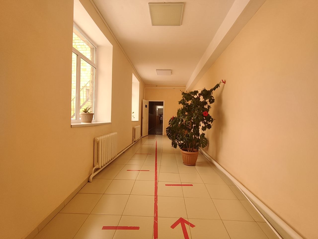 Product-img