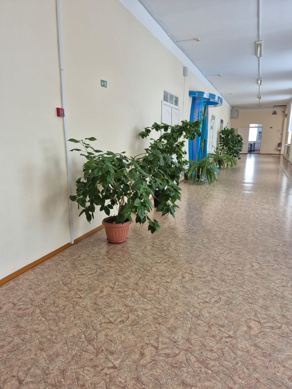 Product-img