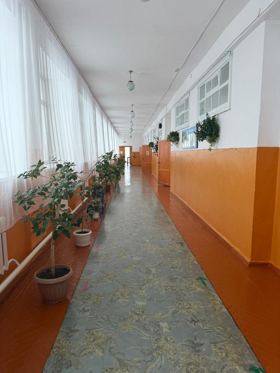 Product-img