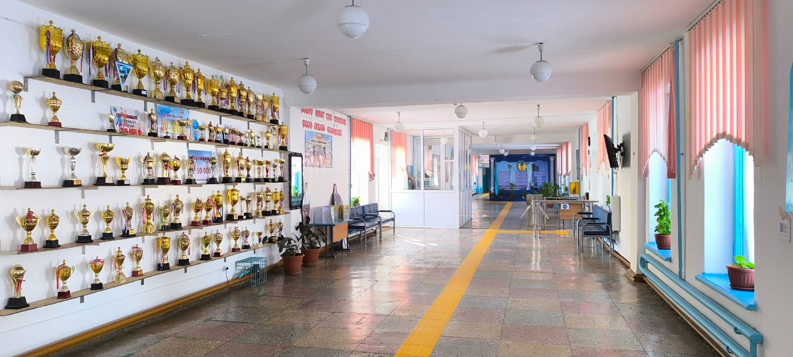 Product-img