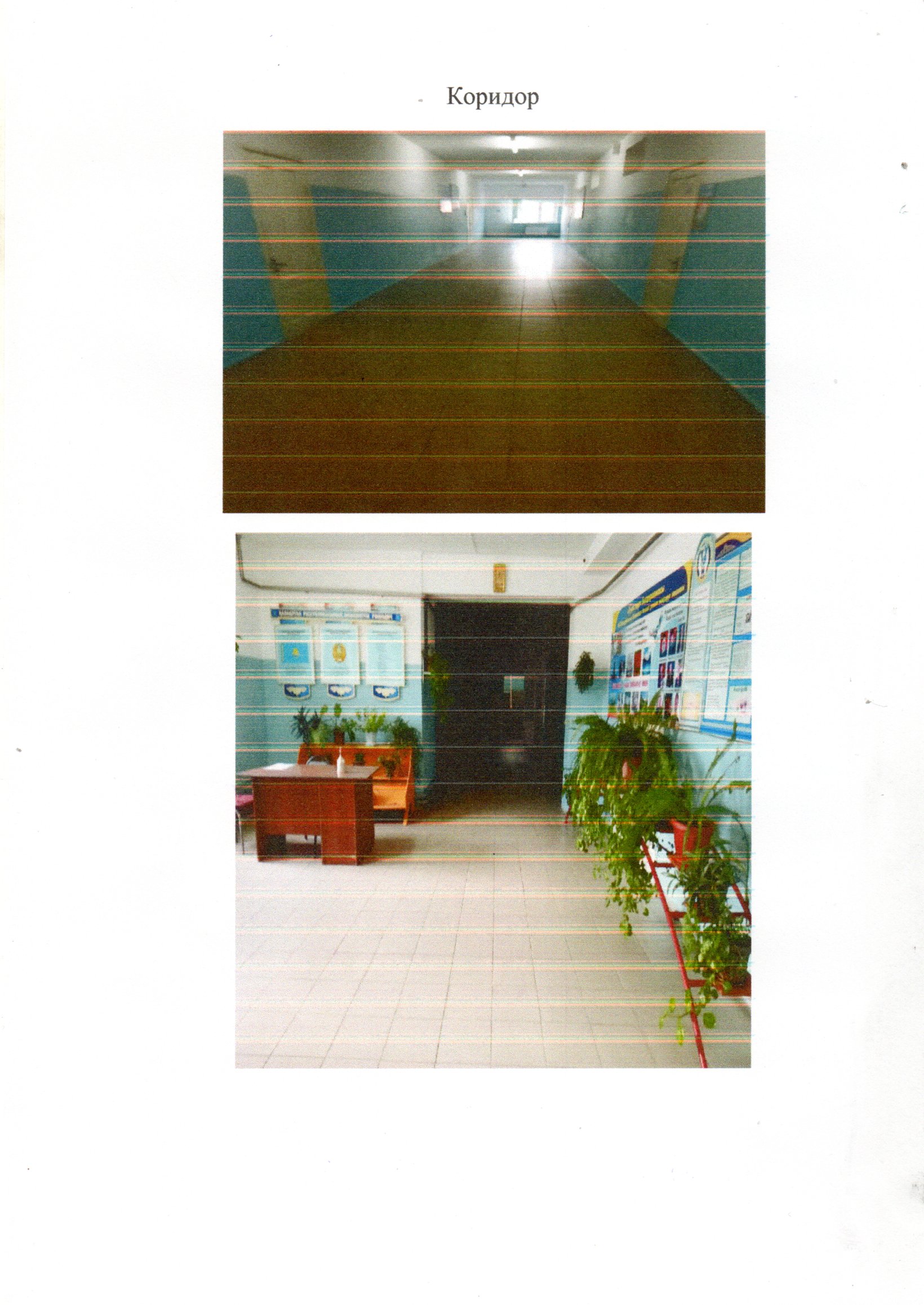 Product-img