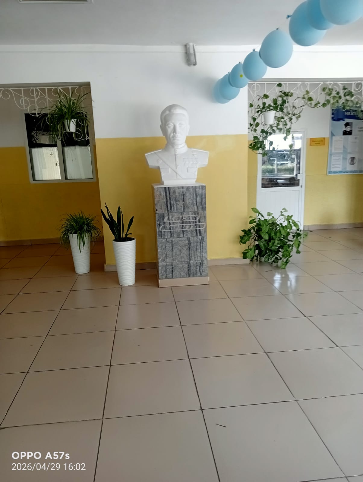 Product-img